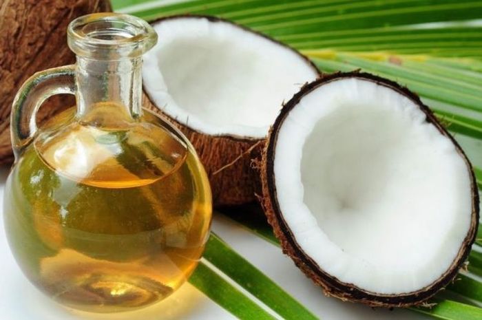 औषधीय गुणों से भरपूर है नारियल, जानिए शरीर के लिए कितना फायदेमंद
