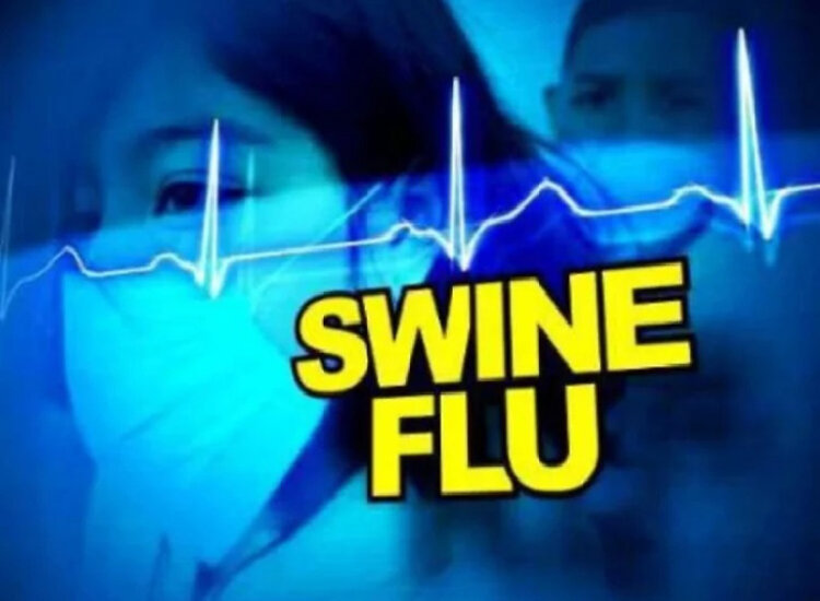 झारखंडः स्वाइन फ्लू की जांच की सुविधा नहीं, कोलकाता भेजे जा रहे हैं मरीजों के सैंपल