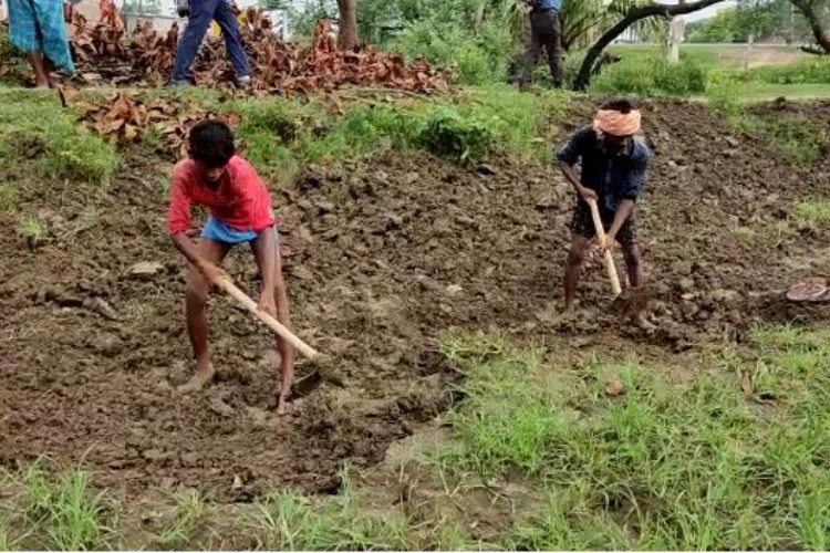 सरकारी नियमों को ताक पर रखकर मनरेगा कार्यों को पार लगाने के लिए बाल मजदूरों का सहारा