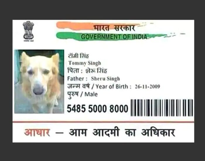 जातीय जनगणना की उड़ाई खिल्ली,कुत्ते की जाति प्रमाण पत्र का आवेदन.